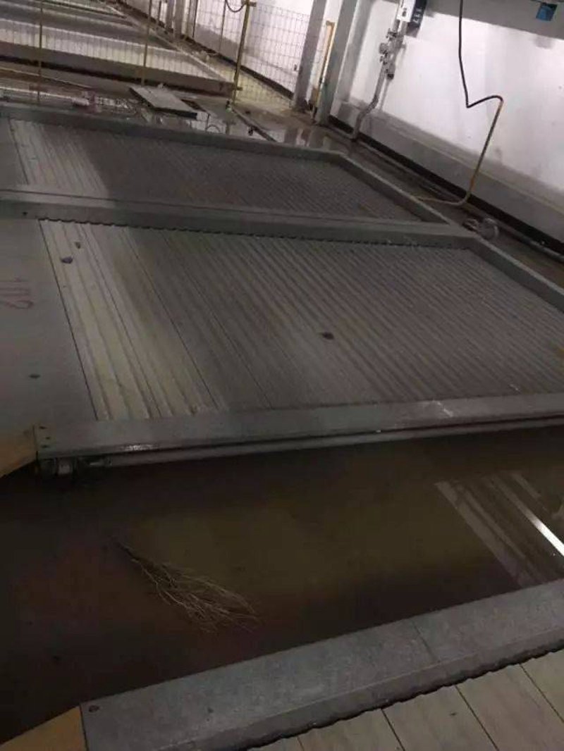 汽车维修行业的最新动态——永嘉篇